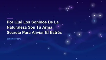 Blog Post Imagen