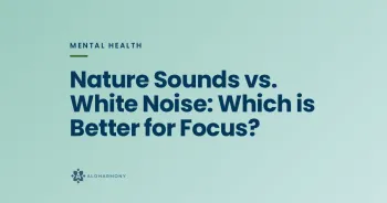 Nature Sounds vs. White Noise: Which is Better for Focus?