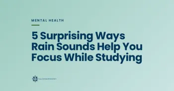 5 Surprising Ways Rain Sounds Help You Focus While Studying