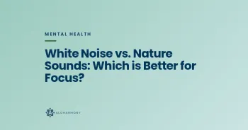 White Noise vs. Nature Sounds: Which is Better for Focus?