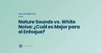 Nature Sounds vs. White Noise: ¿Cuál es Mejor para el Enfoque?