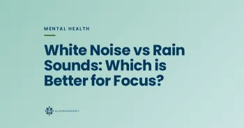 White Noise vs Rain Sounds: Which is Better for Focus?