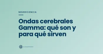 Ondas cerebrales Gamma imagen 