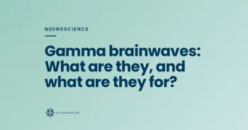 Gamma brainwaves img